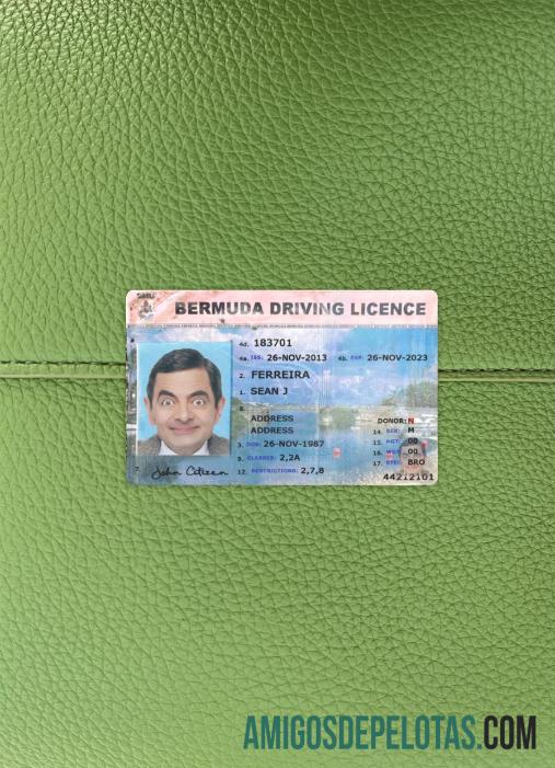 Carteira de motorista das Bermudas fotolook frente modelo